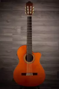 انواع گیتار کلاسیک آلمانزا